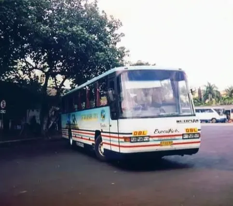 Catat! Sandi Bus Malam dengan Lampu Sein, Jangan Asal Menyalip