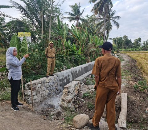 Dampak El Nino, Kementan Upayakan Pompanisasi Selamatkan 250 Ha Sawah