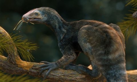 Ilmuwan Temukan Fosil Reptil yang Hidup 230 Juta Tahun Lalu, Cakarnya Tajam Seperti Dinosaurus