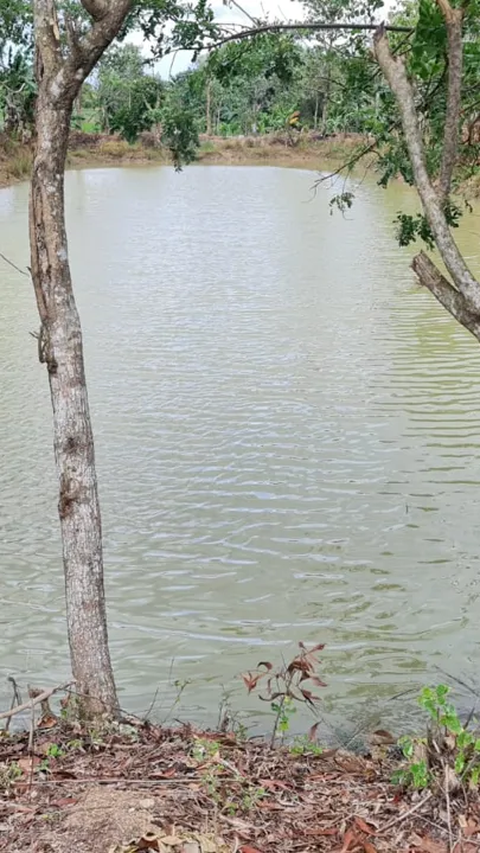 Embung Bisa Jadi Solusi Petani di Wajo Hadapi El Nino