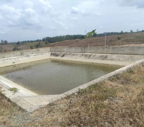 Embung Bisa Jadi Solusi Petani di Wajo Hadapi El Nino