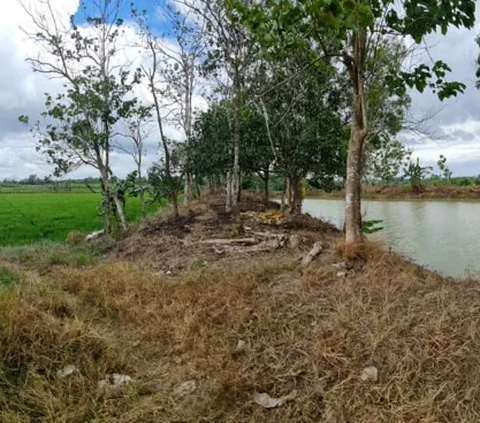 Embung Bisa Jadi Solusi Petani di Wajo Hadapi El Nino