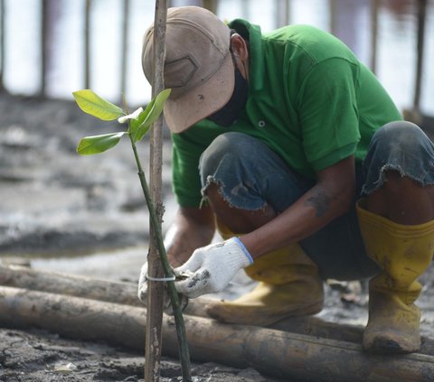 Jalan di Tangerang Disemprot Air untuk Kurangi Polusi, Ini Tanggapan Menkes Budi Gunadi