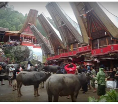 Melihat Upacara 'Rambu Solo', Ritual Pemakaman yang Mirip Pesta di Toraja