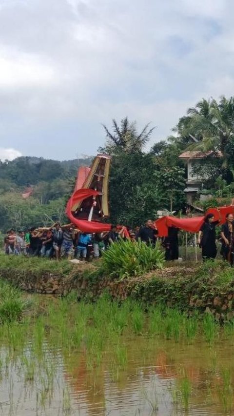 Terakhir, Ma'Palao atau Ma'Pasonglo yaitu proses pengantaran jenazah dari area rumah Tongkonan ke kompleks pemakaman yang disebut Lakkian.