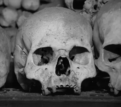 Tengkorak Berusia 300.000 Tahun Ditemukan di China, Diduga Kerabat Nenek Moyang Manusia yang Sempat Hilang