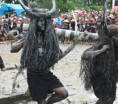 Potret Tradisi Kebo-keboan di Banyuwangi Sebagai Wujud Ungkapan Syukur, Manusia 'Didandani' Layaknya Kerbau