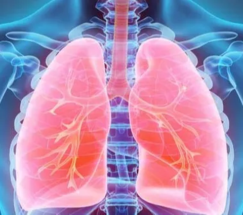 Biaya Pengobatan Penyakit Pernapasan di BPJS Tembus Rp10 Triliun, Menkes Minta Polusi Udara Ditekan