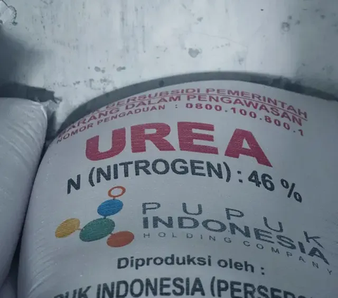 Menurut dia, petani yang tergabung pada program Makmur mudah mengakses pupuk karena tidak bergantung pada pupuk subsidi.