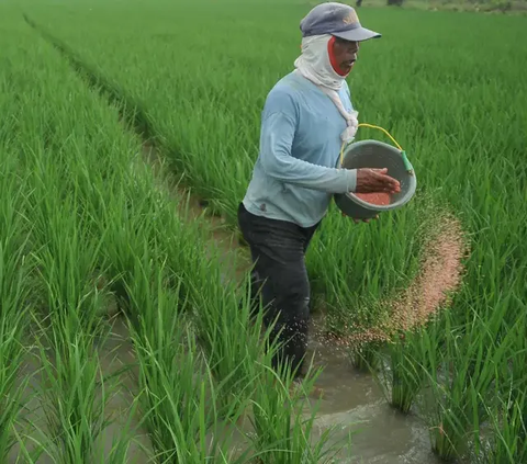 Terungkap, Ini Sederet Keuntungan Petani Bergabung dalam Program Makmur