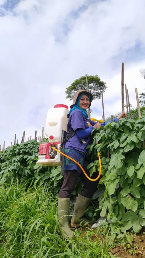 Terungkap, Ini Sederet Keuntungan Petani Bergabung dalam Program Makmur