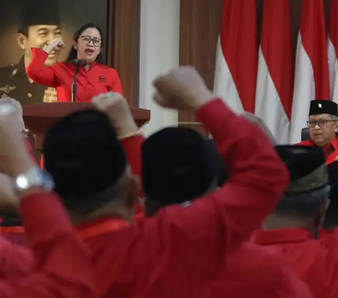 Puan Ungkap Ada Pihak yang Mau Jauhkan Jokowi dan Mega, Gerindra: Bukan Prabowo