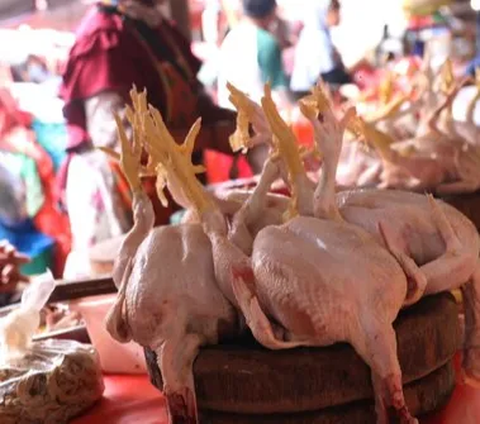Sementara di Pasar Kosambi, untuk komoditas ayam potong terpantau belum mengalami perubahan harga baik itu kenaikan atau penurunan, di mana masih dijual pada harga Rp38.000 per kilogramnya.