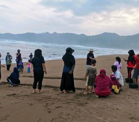 Mengunjungi Pantai Kili-Kili di Trenggalek, Jadi Lokasi Penyu Bertelur