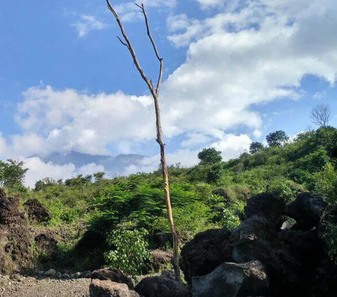 Pemadaman Gunung Ciremai Kebakaran Terkendala Angin