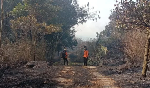 Kecepatan dan hembusan angin menyulitkan para personel untuk memadamkan api. Hembusan angin di daerah itu berubah-ubah, kata Abdul, Di samping itu, tantangan yang dihadapi di lapangan yaitu medan berbatu dan terjal.