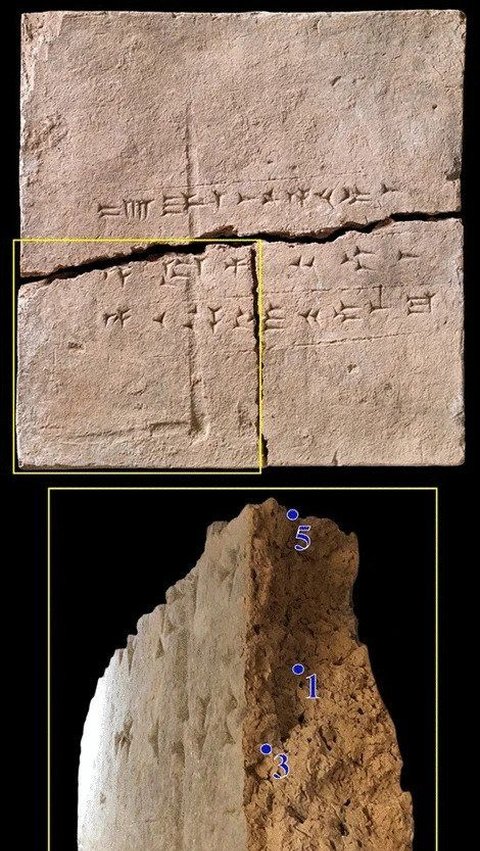 DNA Berusia 2.900 Tahun Ditemukan Pada Bata Tanah Liat, Ternyata dari Makhluk Ini