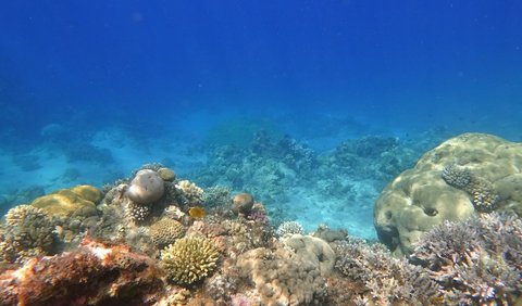 Dari sedikit air laut kuno ini, para peneliti berhasil mengungkap sejarah geologis Bumi. 