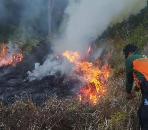 Sebagian kawasan hutan Gunung Semeru mengalami kebakaran akibat cuaca ekstrem. Berdasarkan pantauan Balai Besar Taman Nasional Bromo Tengger Semeru (TNBTS), titik api pertama tampak pada 18 Agustus 2023.