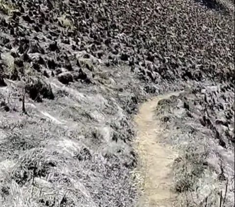 Potret Terbaru Kawasan Gunung Semeru, Jalur Pendakian Belum Dibuka