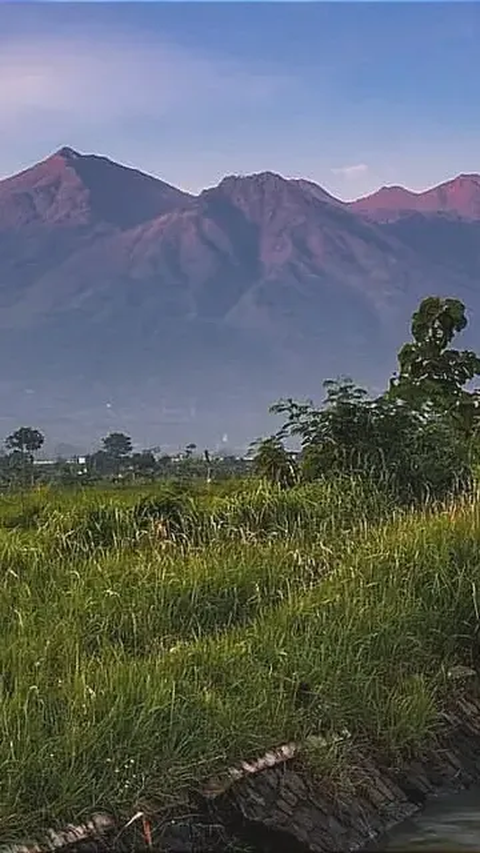 Jalur Berbukit, Kebakaran Hutan di Lereng Gunung Arjuno Sulit Dipadamkan