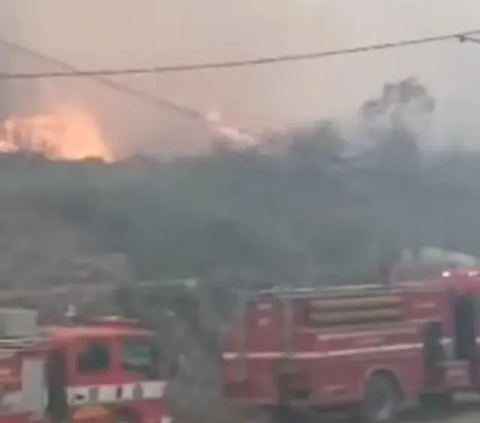 Jalur Berbukit, Kebakaran Hutan di Lereng Gunung Arjuno Sulit Dipadamkan