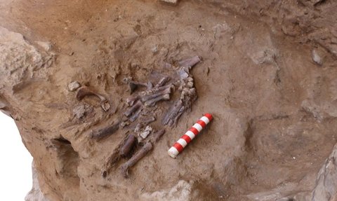 Ritual Tabur Bunga Saat Pemakaman Dimulai Sejak 70.000 Tahun Lalu, Ini Buktinya