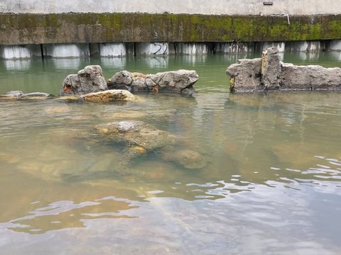 Penampakan Batu Malin Kundang 'Tenggelam', Kondisinya Seperti Kolam dan Dipenuhi Banyak Ikan