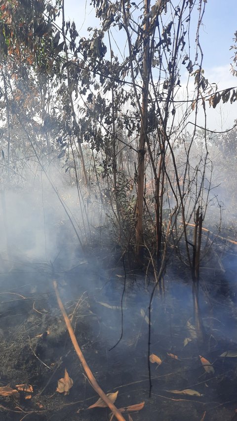 Kebakaran lahan Desa Tarai Bangun
