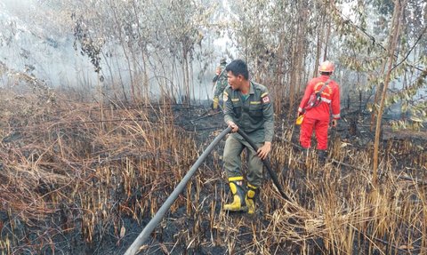 Miris, Asap Kebakaran Lahan di Kampar Riau Kepung Gedung Sekolahan