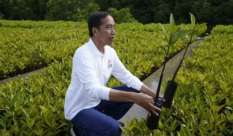 Presiden Joko Widodo (Jokowi) menghadiri Rapat Pimpinan Nasional (Rapimnas) relawan Jaringan Kemandirian Nasional (JAMAN) di Cirebon, Jawa Barat.