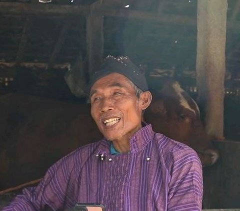 Mengenal Tradisi Momong Pedet Asal Sleman, Bentuk Apresiasi Peternak Terhadap Peliharaannya