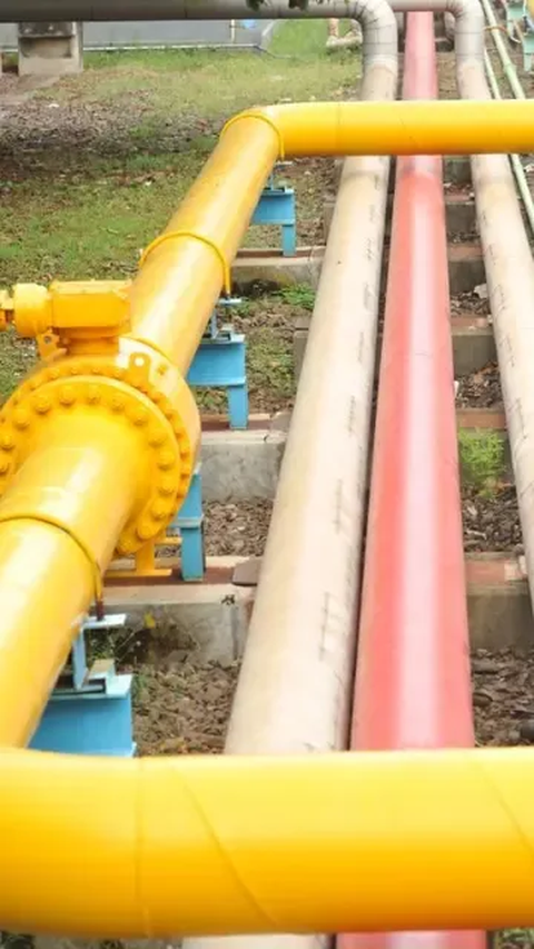 Integrasi Infrastruktur Gas Bumi, PGN Incar Pelanggan Industri di Batam