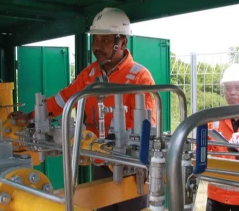 Integrasi Infrastruktur Gas Bumi, PGN Incar Pelanggan Industri di Batam