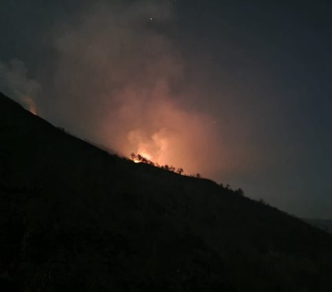 Kebakaran Hutan di Gunung Arjuno Diduga Dipicu Aktivitas Pemburu Liar, Polisi Kejar Pelaku