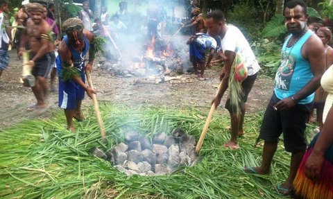 Makna Tradisi Bakar Batu di Papua dan Nilai Toleransi Umat Beragama di Dalamnya