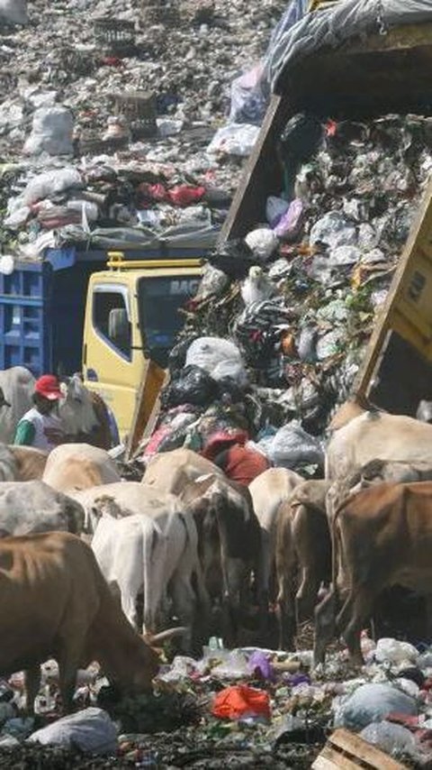 Tempat Pembuangan Sampah Terpadu (TPST) Piyungan masih ditutup dan akan terus berlangsung dalam beberapa hari ke depan.