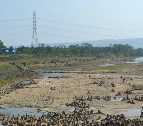 Waspada El Nino, Begini Imbauan BMKG Terhadap Warga Jateng