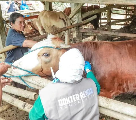 Produk Makanan Berbasis Daging Sapi Asal Indonesia Ditolak Malaysia, Ternyata Ini Penyebabnya