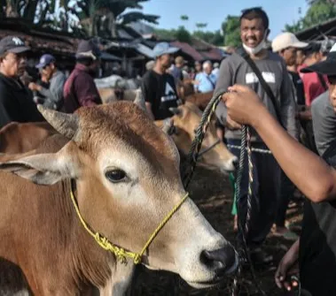 Produk Makanan Berbasis Daging Sapi Asal Indonesia Ditolak Malaysia, Ternyata Ini Penyebabnya