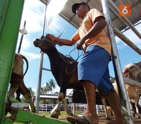 Produk Makanan Berbasis Daging Sapi Asal Indonesia Ditolak Malaysia, Ternyata Ini Penyebabnya