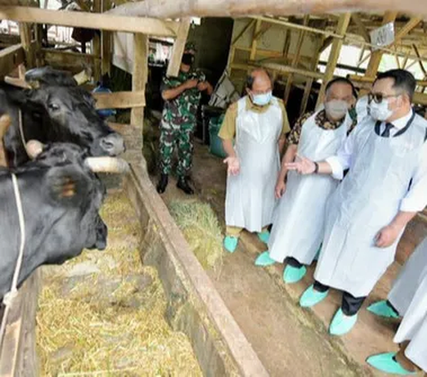 Produk Makanan Berbasis Daging Sapi Asal Indonesia Ditolak Malaysia, Ternyata Ini Penyebabnya