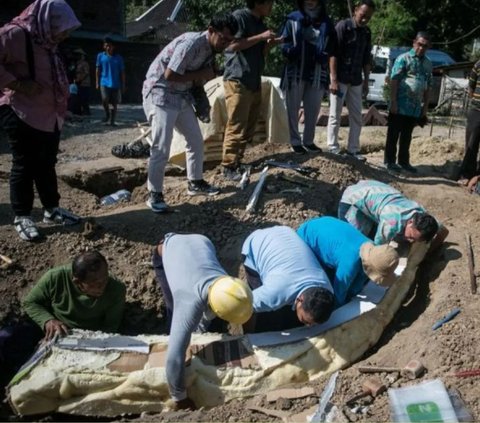 Gali Tanah Mau Bangun Rumah, Warga Sragen Temukan Fosil Gading Gajah Berusia 800 Ribu Tahun