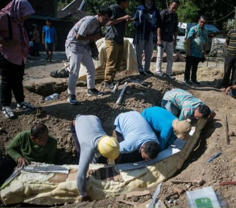 Gali Tanah Mau Bangun Rumah, Warga Sragen Temukan Fosil Gading Gajah Berusia 800 Ribu Tahun