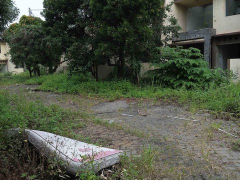 FOTO: Suramnya Kompleks Perumahan Mewah Terbengkalai di Pulogadung, Bangunan Rusak dan Dipenuhi Semak Belukar