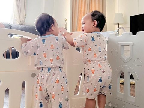 10 Potret Terbaru Baby Twins Alma dan Alsha Anak Kembar Annisa Rahma Eks Cherrybelle, Kini Menginjak 9 Bulan