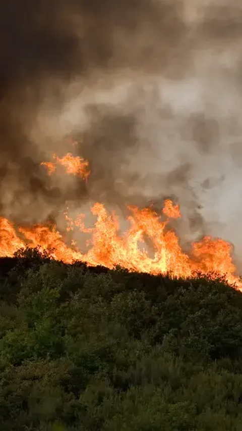 Lahan 1 Hektare di Bengkalis Kebakaran, Polisi Masih Buru Dalang di Baliknya