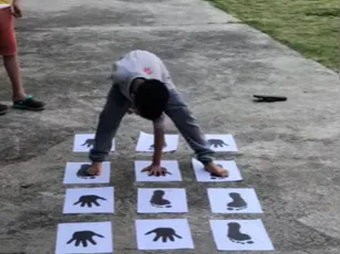 Paper Hand & Foot Game
