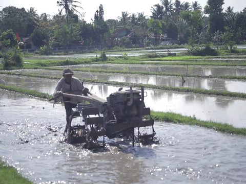 Irigasi Terawat, Pertanian Bantul Tak Terpengaruh El Nino