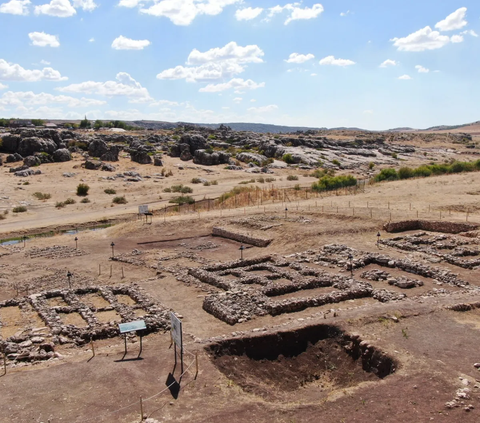 Penemuan Makam Berusia 9.500 Tahun Ungkap Sejarah Munculnya Budidaya Tanaman Paling Awal